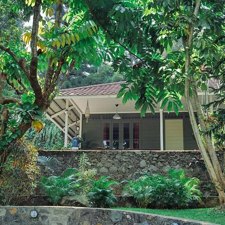 Villa Marcolina 57-3